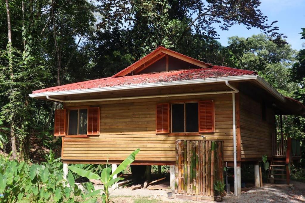 Jungle Beach 2 Bedroom Cottage Bocas del Toro Exterior foto