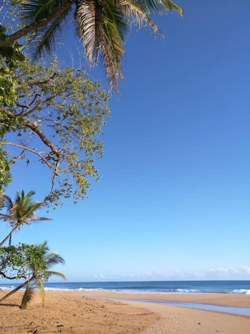 Jungle Beach 2 Bedroom Cottage Bocas del Toro Exterior foto